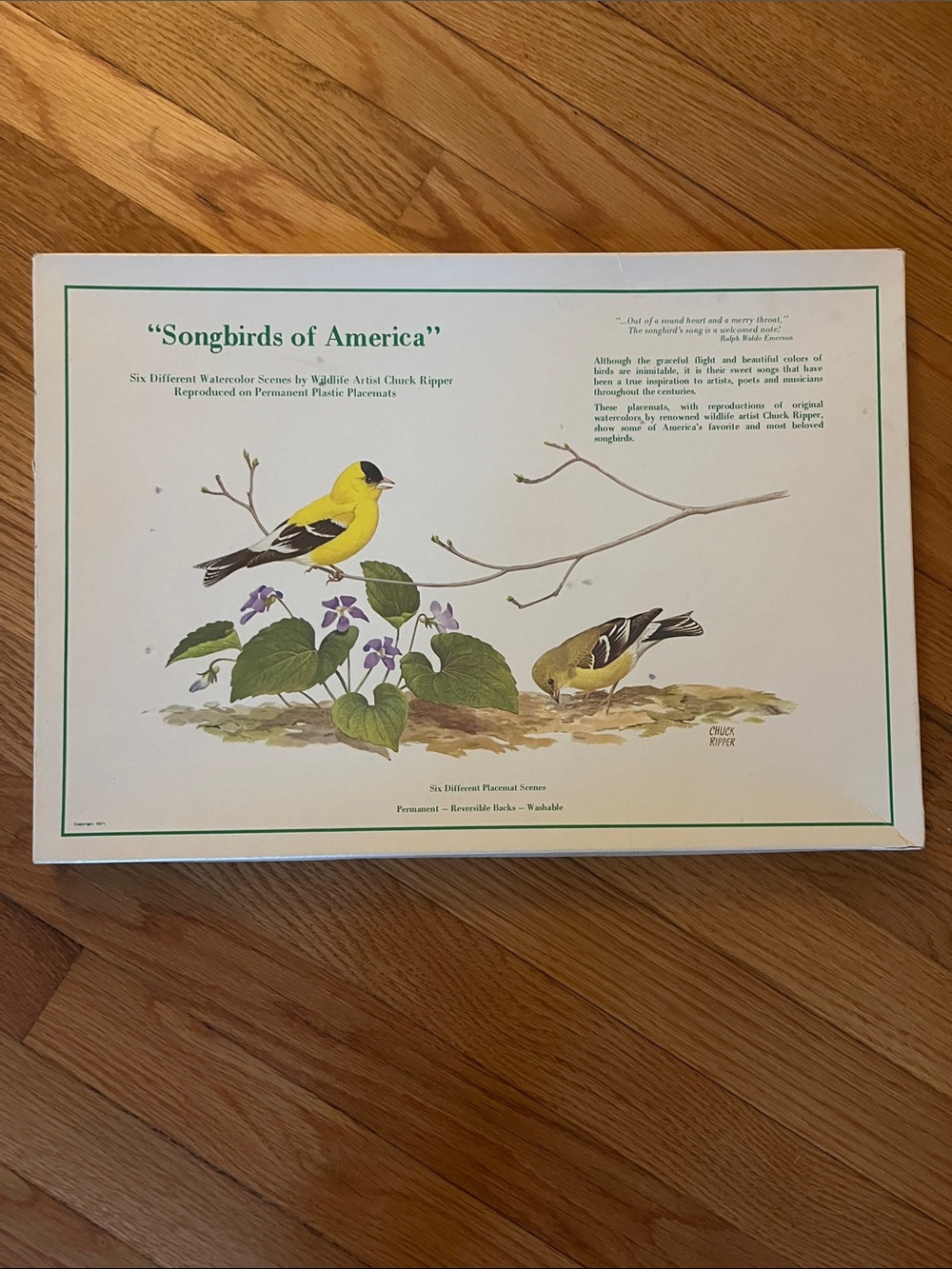 Set of 6 permanent plastic placemats - Songbirds of America
